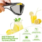 【AREL】Summerwins Stainless Steel Citrus Squeezer - Image 8