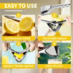 【AREL】Summerwins Stainless Steel Citrus Squeezer - Image 7