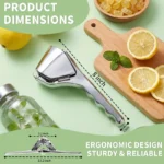 【AREL】Summerwins Stainless Steel Citrus Squeezer - Image 5