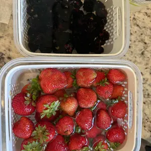 5 Pack Fridge Organizers and Storage - Stackable Fruit Storage Containers for Fridge with Removable Colander, BPA-Free Food Storage Container for Salad Berry Lettuce Vegetables Meat Keeper Fresh photo review